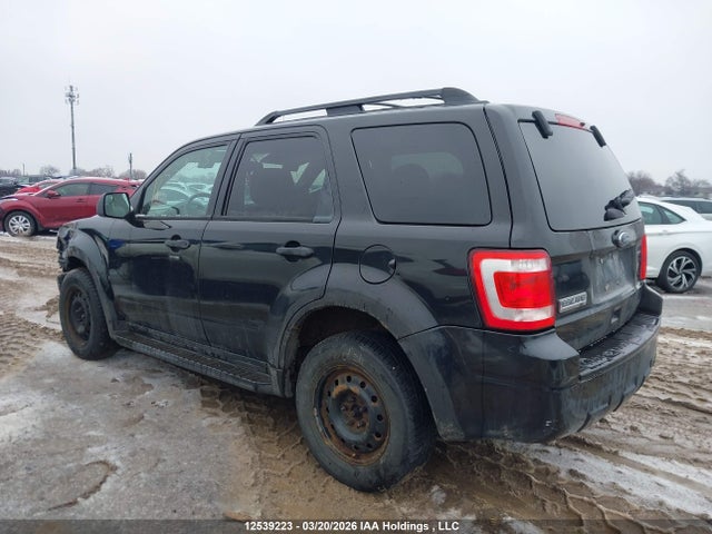 2011 Ford Escape Xlt Automatic მანქანა იყიდება აუქციონზე, vin: 1FMCU9D75BKA00494, აუქციონის ნომერი: 12539223