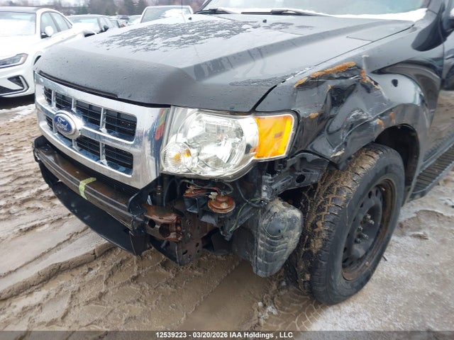 2011 Ford Escape Xlt Automatic მანქანა იყიდება აუქციონზე, vin: 1FMCU9D75BKA00494, აუქციონის ნომერი: 12539223