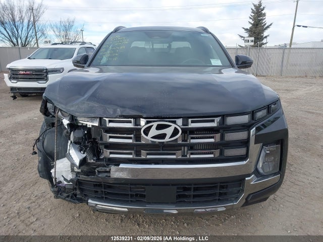 Продаж на аукціоні авто 2025 Hyundai Santa Cruz Limited, vin: 5NTJEDDF0SH146479, номер лоту: 12539231