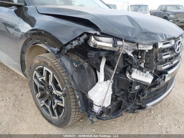 Продаж на аукціоні авто 2025 Hyundai Santa Cruz Limited, vin: 5NTJEDDF0SH146479, номер лоту: 12539231