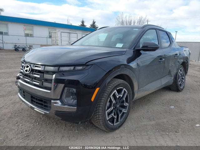 Продаж на аукціоні авто 2025 Hyundai Santa Cruz Limited, vin: 5NTJEDDF0SH146479, номер лоту: 12539231