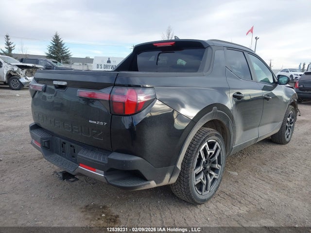 Продаж на аукціоні авто 2025 Hyundai Santa Cruz Limited, vin: 5NTJEDDF0SH146479, номер лоту: 12539231