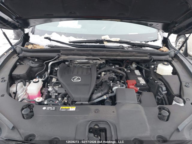 Продажа на аукционе авто 2024 Lexus Rx 350, vin: 2T2BAMCA3RC073542, номер лота: 12539273