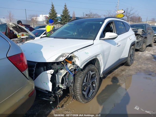 Продажа на аукционе авто 2024 Hyundai Tucson Ultimate Plug-in Hybrid Awd, vin: KM8JDDD29RU152484, номер лота: 12539392