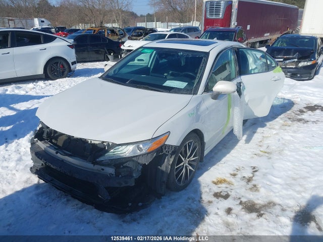4T1B21HK1NU017660 Toyota Camry Xle/se