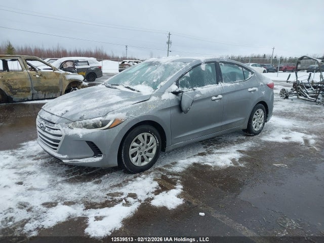 5NPD74LF5HH062531 Hyundai Elantra L