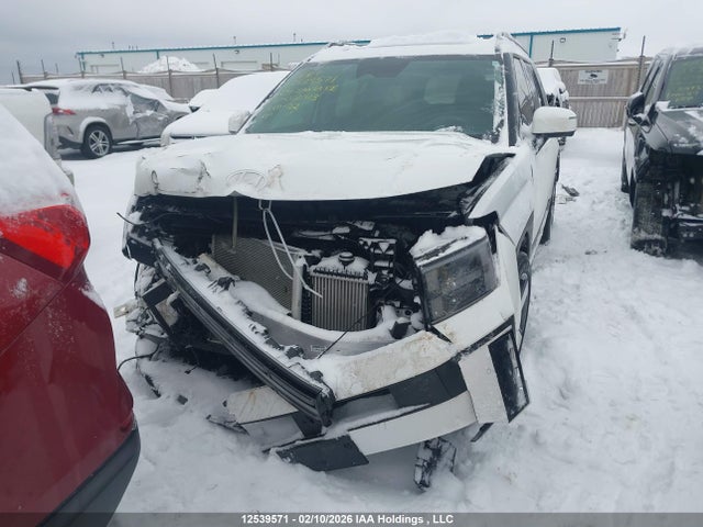 Продаж на аукціоні авто 2024 Hyundai Santa Fe Limited, vin: 5NMP4DGL4RH020713, номер лоту: 12539571