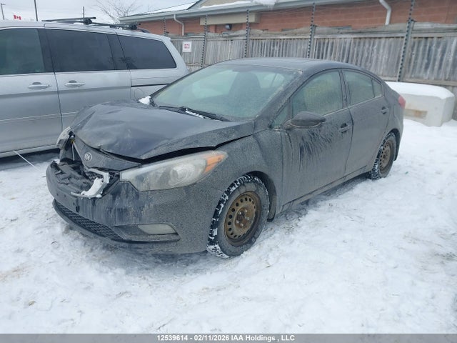 KNAFX4A68G5525155 KIA Forte