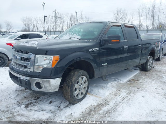 2014 Ford F-150 Xlt მანქანა იყიდება აუქციონზე, vin: 1FTFW1ET5EFB65225, აუქციონის ნომერი: 12539660
