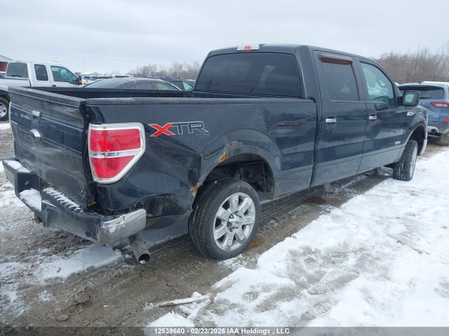 2014 Ford F-150 Xlt მანქანა იყიდება აუქციონზე, vin: 1FTFW1ET5EFB65225, აუქციონის ნომერი: 12539660