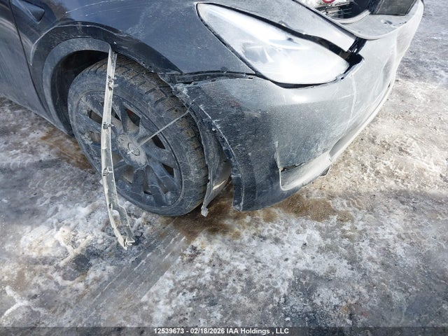 Продажа на аукционе авто 2025 Tesla Model Y Long Range, vin: 7SAYGDEE7SF234136, номер лота: 12539673