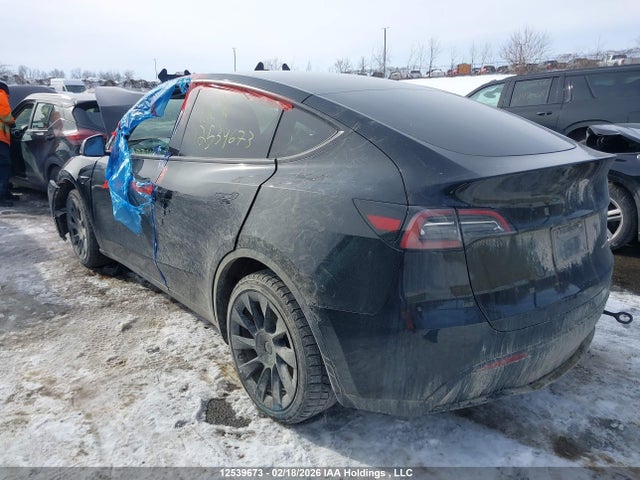Продажа на аукционе авто 2025 Tesla Model Y Long Range, vin: 7SAYGDEE7SF234136, номер лота: 12539673