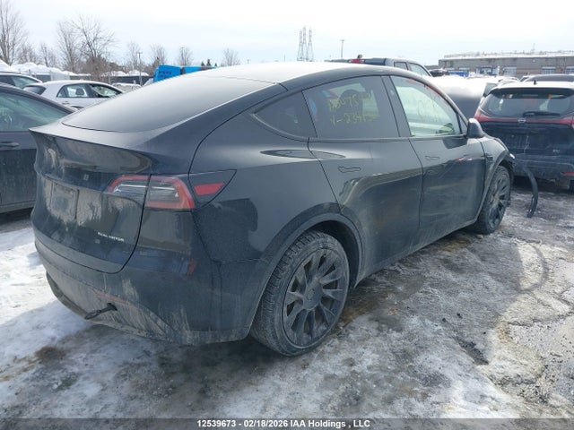 Продажа на аукционе авто 2025 Tesla Model Y Long Range, vin: 7SAYGDEE7SF234136, номер лота: 12539673
