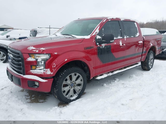 Продаж на аукціоні авто 2016 Ford F150 Supercrew, vin: 1FTEW1EF0GFD21924, номер лоту: 12539692