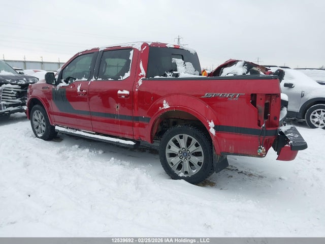 Продаж на аукціоні авто 2016 Ford F150 Supercrew, vin: 1FTEW1EF0GFD21924, номер лоту: 12539692