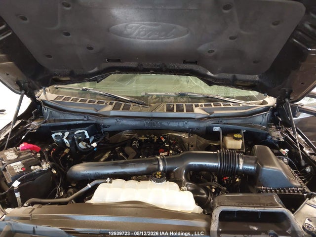 2024 Ford F150 Xlt მანქანა იყიდება აუქციონზე, vin: 1FTFW3L87RKE10436, აუქციონის ნომერი: 12539723