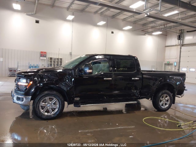 2024 Ford F150 Xlt მანქანა იყიდება აუქციონზე, vin: 1FTFW3L87RKE10436, აუქციონის ნომერი: 12539723
