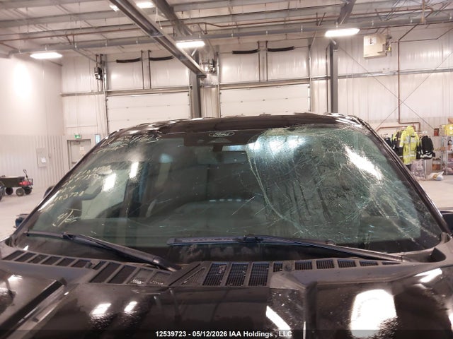 2024 Ford F150 Xlt მანქანა იყიდება აუქციონზე, vin: 1FTFW3L87RKE10436, აუქციონის ნომერი: 12539723