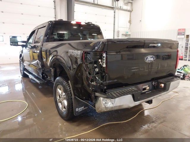2024 Ford F150 Xlt მანქანა იყიდება აუქციონზე, vin: 1FTFW3L87RKE10436, აუქციონის ნომერი: 12539723