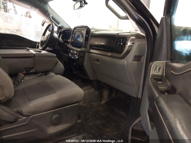 2024 Ford F150 Xlt მანქანა იყიდება აუქციონზე, vin: 1FTFW3L87RKE10436, აუქციონის ნომერი: 12539723