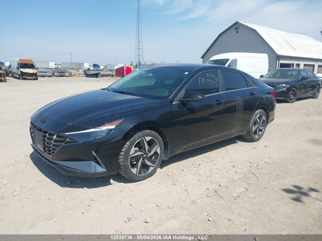 KMHLN4AG8PU611362 Hyundai Elantra Luxury Ivt