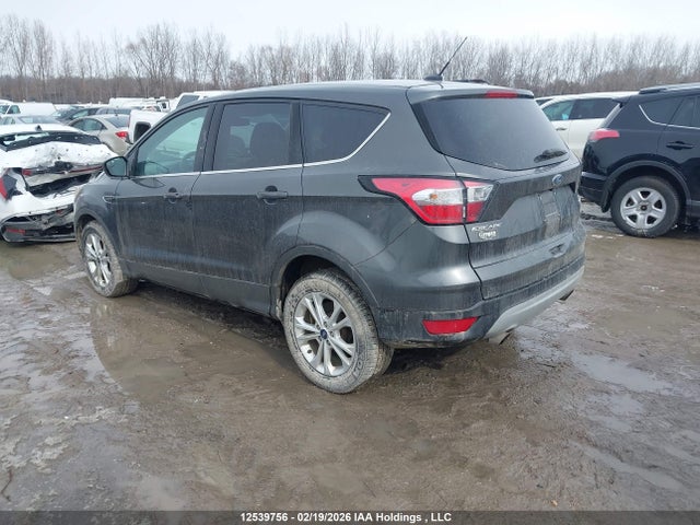 1FMCU0GD4HUD70443 Ford Escape