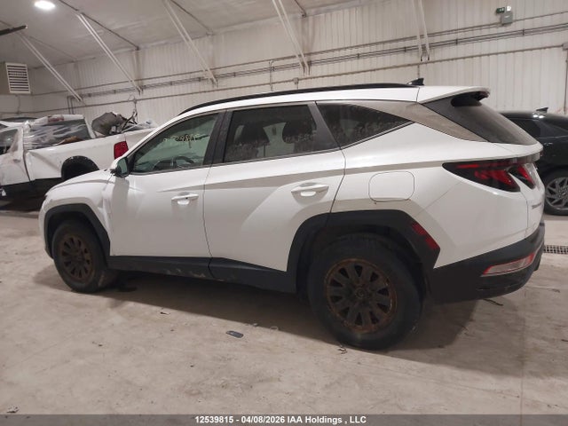Продаж на аукціоні авто 2022 Hyundai Tucson Sel, vin: KM8JBCAE6NU092530, номер лоту: 12539815