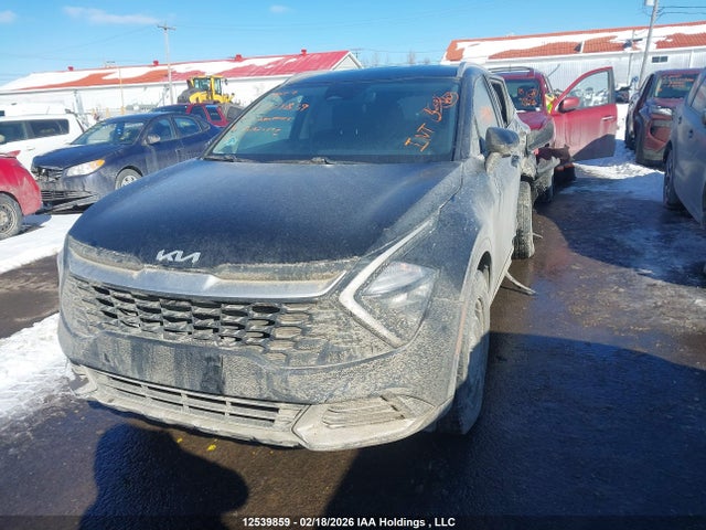 Aukcja sprzedaży 2023 Kia Sportage Lx/x-line, vin: KNDPUCAF9P7150715, numer aukcji: 12539859