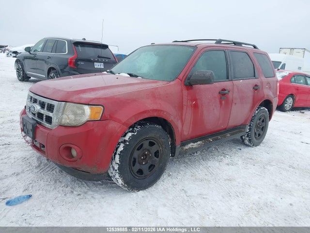 12539885 :رقم المزاد ، 1FMCU0DG8BKA64640 vin ، 2011 Ford Escape مزاد بيع
