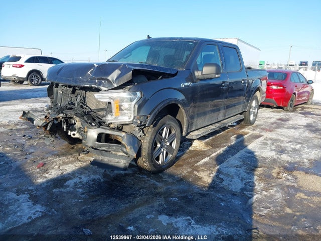Продажа на аукционе авто 2019 Ford F-150 Xlt, vin: 1FTEW1EP6KFC57731, номер лота: 12539967