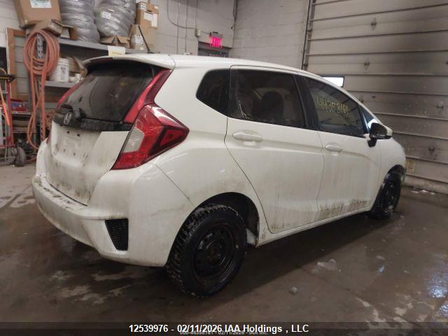 3HGGK5H51HM103184 Honda Fit