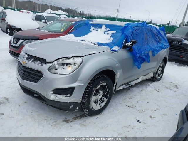2GNFLEEKXG6306138 Chevrolet EQUINOX LS