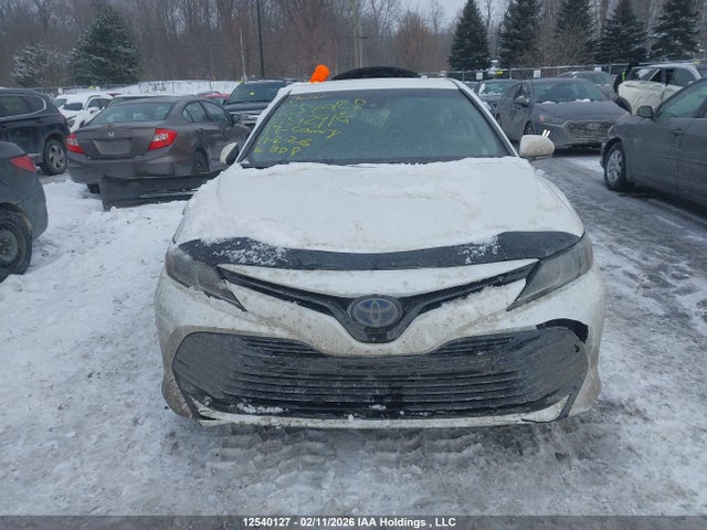 4T1B31HK1KU512918 Toyota Camry