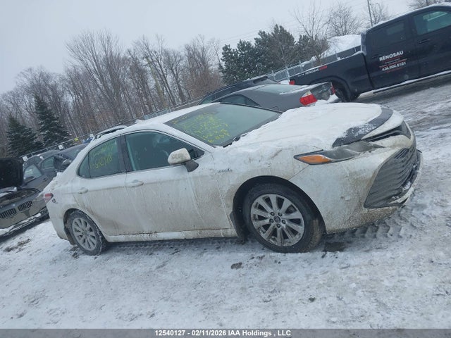 4T1B31HK1KU512918 Toyota Camry