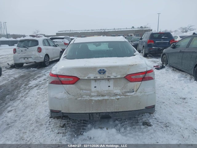 4T1B31HK1KU512918 Toyota Camry