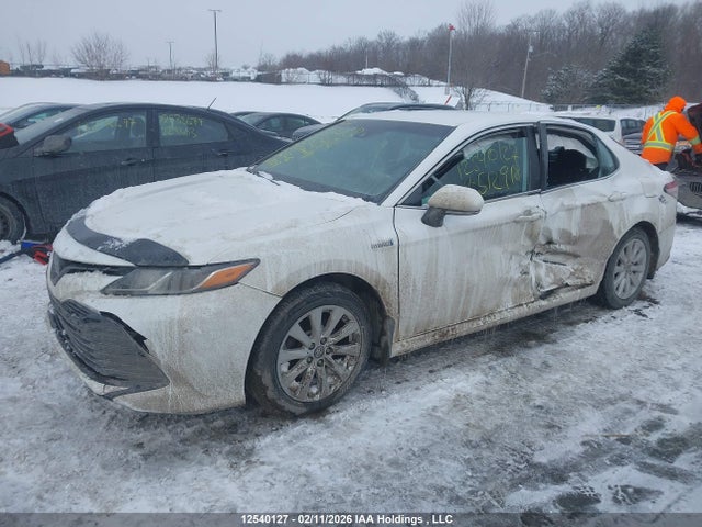 4T1B31HK1KU512918 Toyota Camry