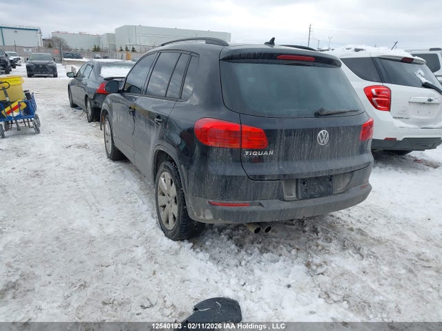 WVGJV7AXXFW533534 Volkswagen Tiguan Comfortline/highline/special Edition/trendline