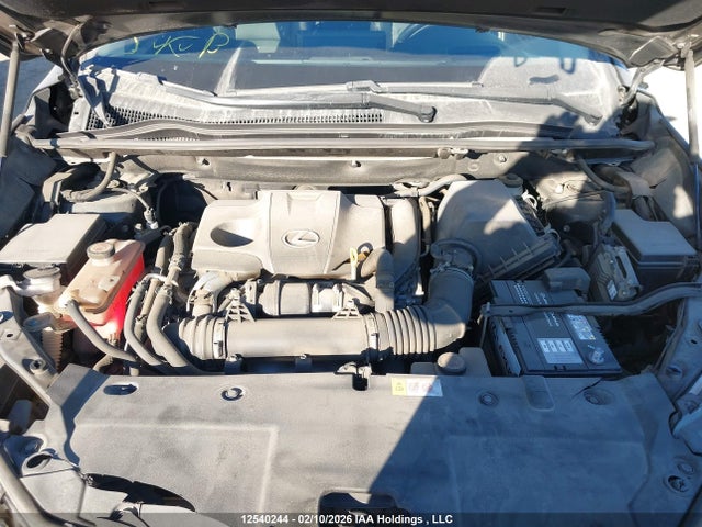 JTJBARBZ1J2173065 Lexus Nx Nx 300