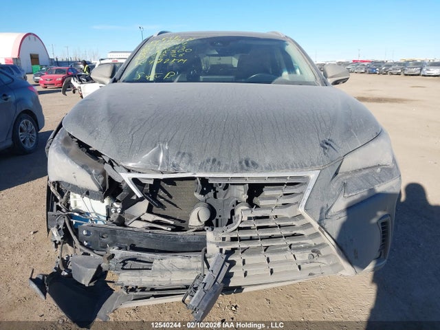 JTJBARBZ1J2173065 Lexus Nx Nx 300