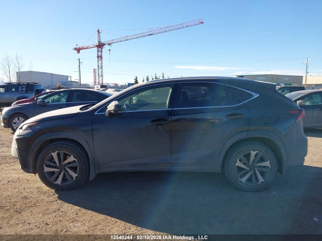 JTJBARBZ1J2173065 Lexus Nx Nx 300