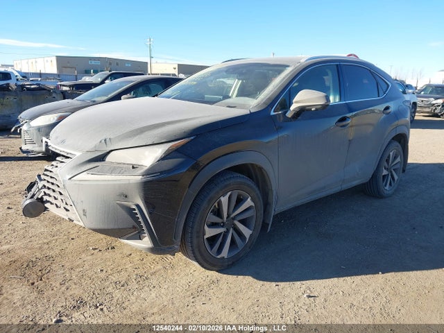 JTJBARBZ1J2173065 Lexus Nx Nx 300