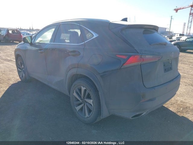 JTJBARBZ1J2173065 Lexus Nx Nx 300