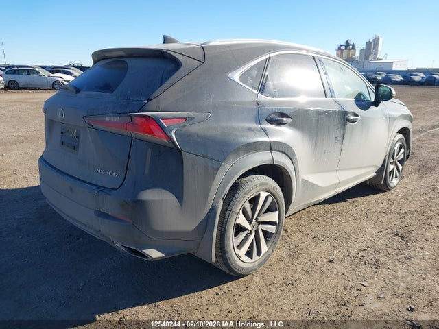 JTJBARBZ1J2173065 Lexus Nx Nx 300