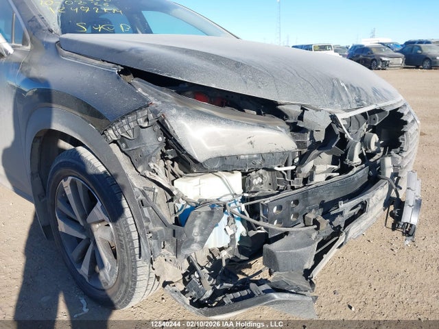 JTJBARBZ1J2173065 Lexus Nx Nx 300