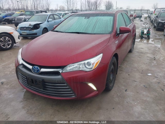 4T1BD1FK8GU177566 Toyota Camry