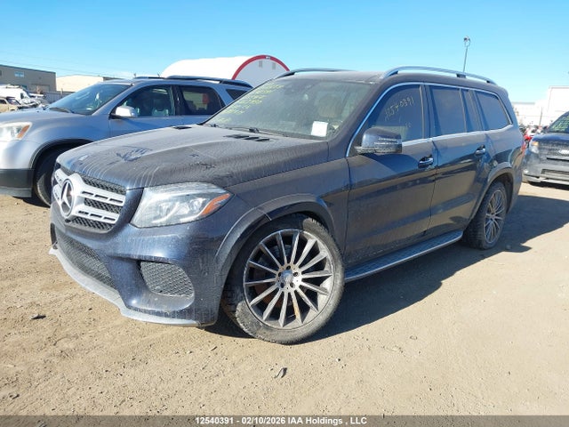 4JGDF6EE2HA755417 Mercedes-Benz Gls 450 4matic