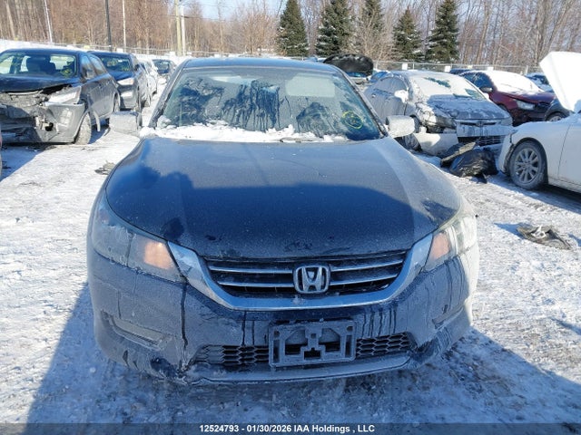1HGCR2F56FA804440 Honda Accord Sport