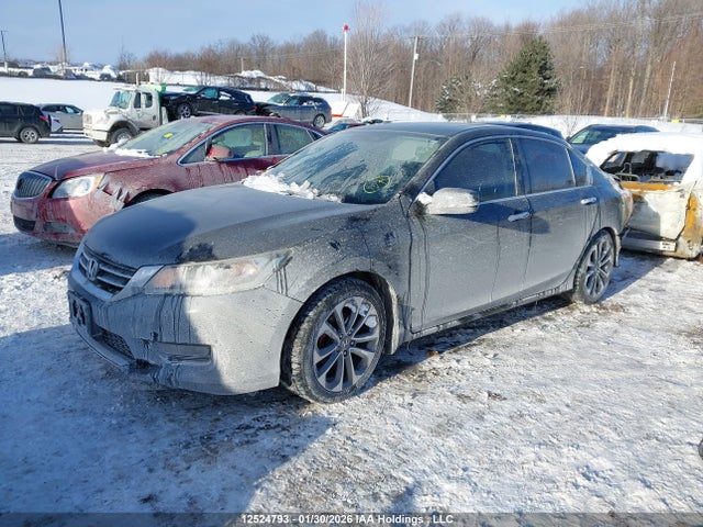 1HGCR2F56FA804440 Honda Accord Sport