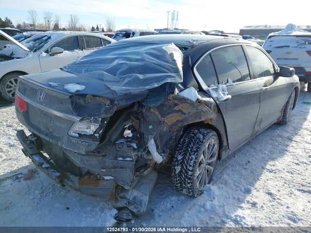 1HGCR2F56FA804440 Honda Accord Sport