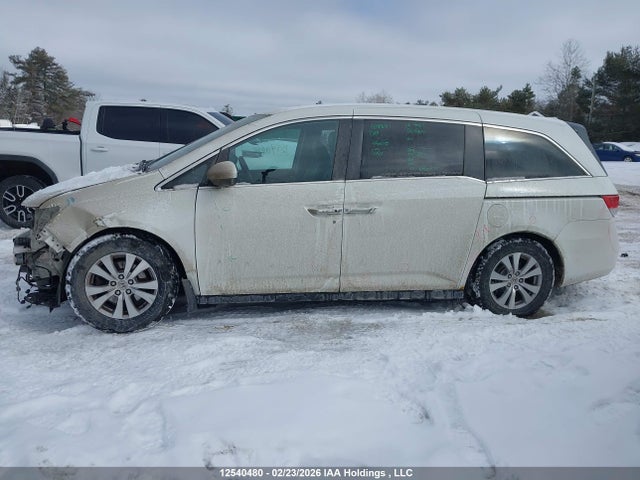 5FNRL5H62FB501230 Honda Odyssey Ex-l